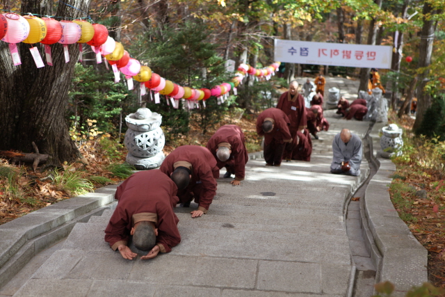 _적멸보궁 삼보일배1.jpg